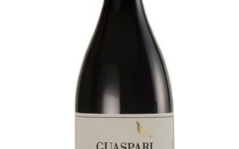 Guaspari Syrah Vista do Chá 2012