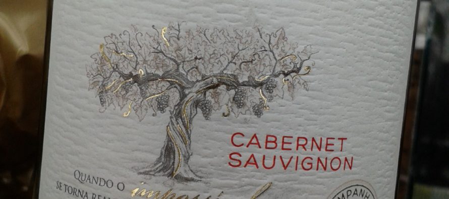 Salton Paradoxo Cabernet Sauvignon 2011