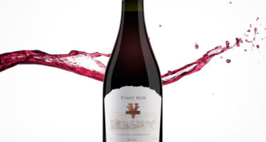 Ventisquero Pinot Noir Reserva 2014