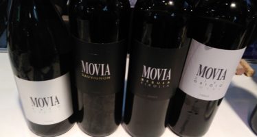 Conheça os vinhos da Eslovênia