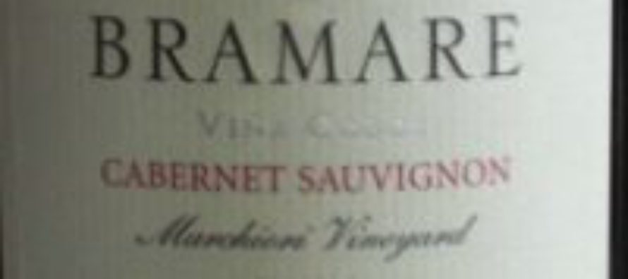 Argentina, nova fronteira para a Cabernet Sauvignon