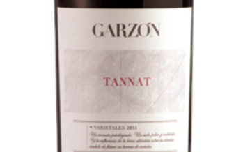 Garzón Tannat vai bem com carne grelhada