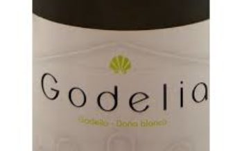 Godelia, bons vinhos de Bierzo, na Espanha