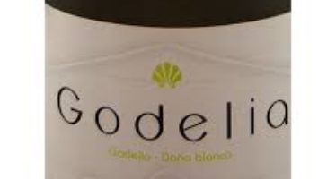 Godelia, bons vinhos de Bierzo, na Espanha