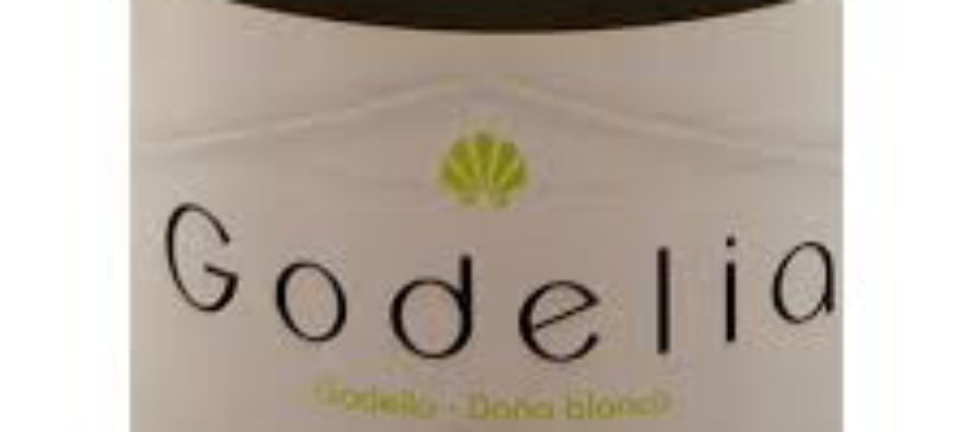 Godelia, bons vinhos de Bierzo, na Espanha