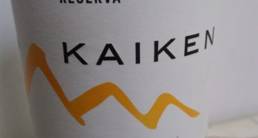 Kaiken Reserva Malbec 2013