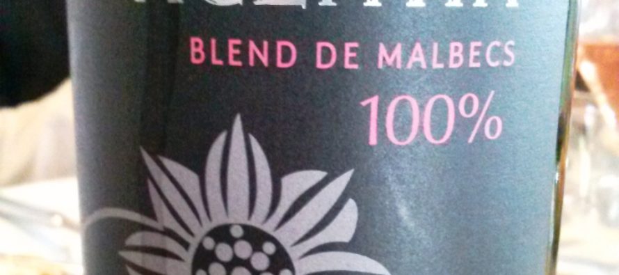 Vincentin Blend de Malbecs 2015