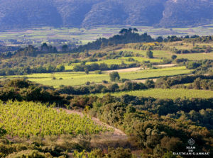 mas-de-daumas-gassac-vinhas