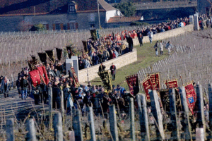 São Vicente Festa