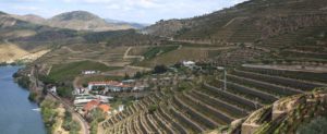 Douro Vargelas