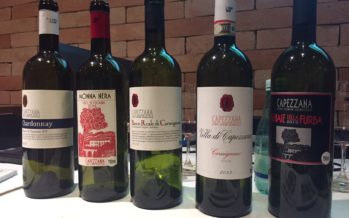 Tenuta di Capezzana, vinhos expressivos, de vinhedos orgânicos