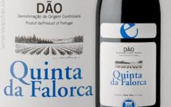 World Wine mostra grandes vinhos da Espanha e Portugal
