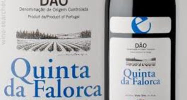 World Wine mostra grandes vinhos da Espanha e Portugal