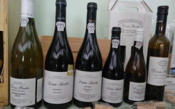 Dona Berta, tintos e brancos de vinhas velhas do Douro Superior