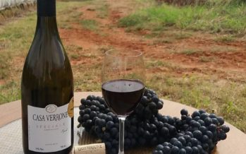 Casa Verrone Speciale Syrah, um tinto paulista de classe