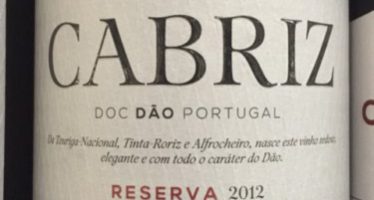 Vinhos portugueses da Global Wines, agora com distribuição própria no Brasil
