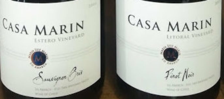 Vinhos da premiada vinícola chilena Casa Marín voltam ao Brasil