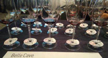 Os bons vinhos da importadora Belle Cave