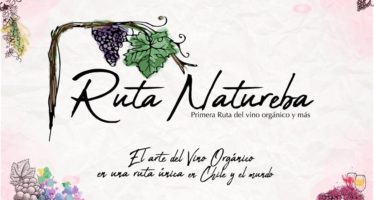 Ruta Natureba, um passeio por vinícolas especiais do Chile