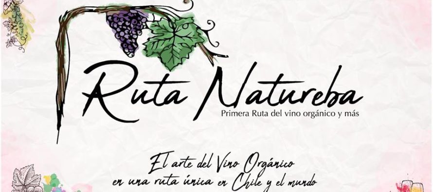 Ruta Natureba, um passeio por vinícolas especiais do Chile