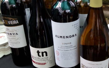  Evento anual da La Pastina mostra alimentos e bons vinhos do catálogo da casa