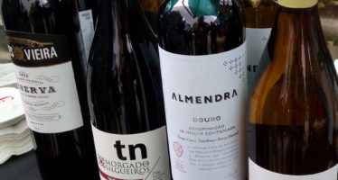  Evento anual da La Pastina mostra alimentos e bons vinhos do catálogo da casa