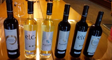 Monte do Álamo, vinhos alentejanos com personalidade e fáceis de beber