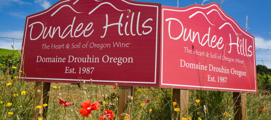 Os elegantes Pinot Noir e Chardonnay da francesa Drouhin no Oregon americano