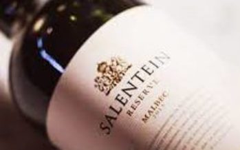 Salentein Reserve Malbec se destaca pela qualidade em boa faixa de preço