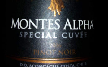 Viña Montes apresenta a nova linha Montes Special Cuvée, que tem ótimos vinhos