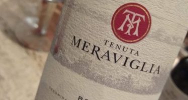 Os bons vinhos de Alejandro Bulgheroni na Itália
