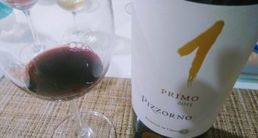 O pequeno Uruguai, em novo ciclo, produz grandes vinhos