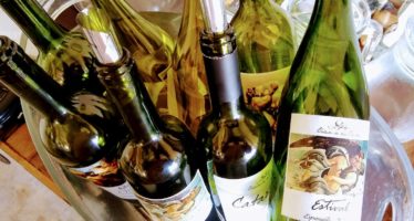 Maldonado e a influência do Atlântico nos vinhos uruguaios