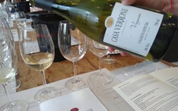 Casa Verrone apresenta novos vinhos e destaca o terroir da Serra da Mantiqueira