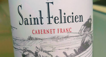 Linha Catena Saint Felicien agora vendida no Brasil