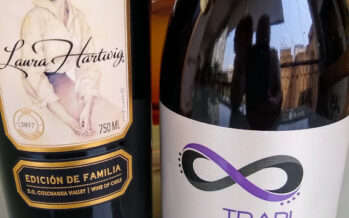 Importadora Novo Chile traz vinhos de vinícolas pequenas e muito especiais