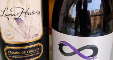 Importadora Novo Chile traz vinhos de vinícolas pequenas e muito especiais